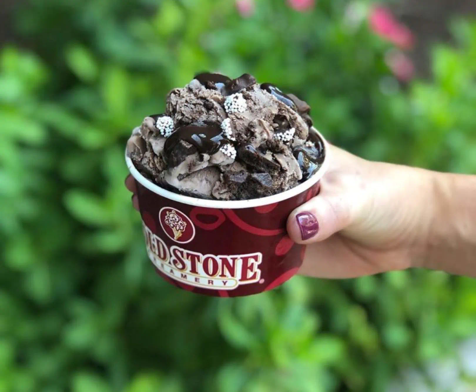 Hand holding a container of chocolate ice cream topped with chocolate sauce and white candy pieces. The container bears the "Cold Stone Creamery" logo.