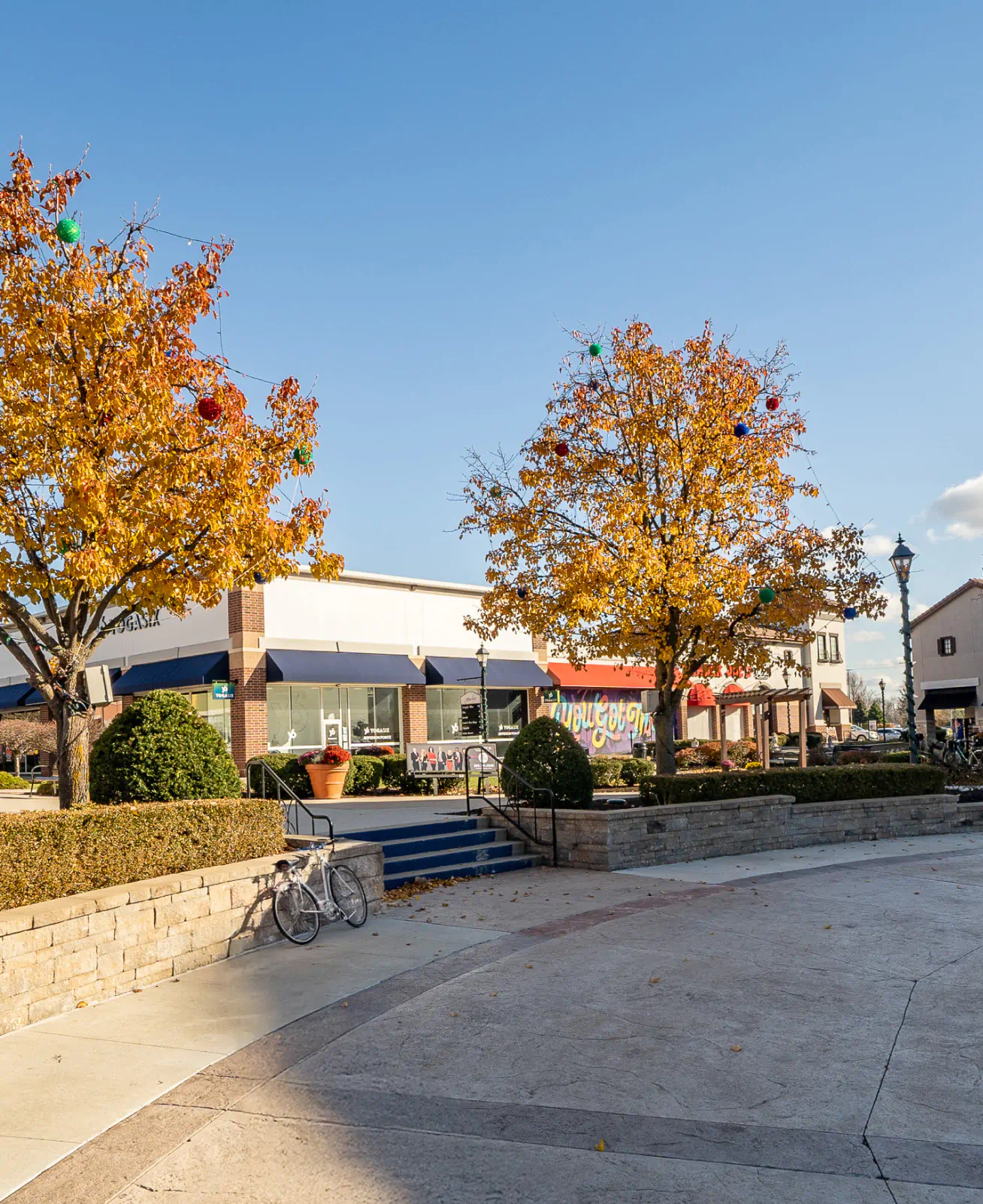 Two trees with yellow leaves in the foreground and storefronts in the background.