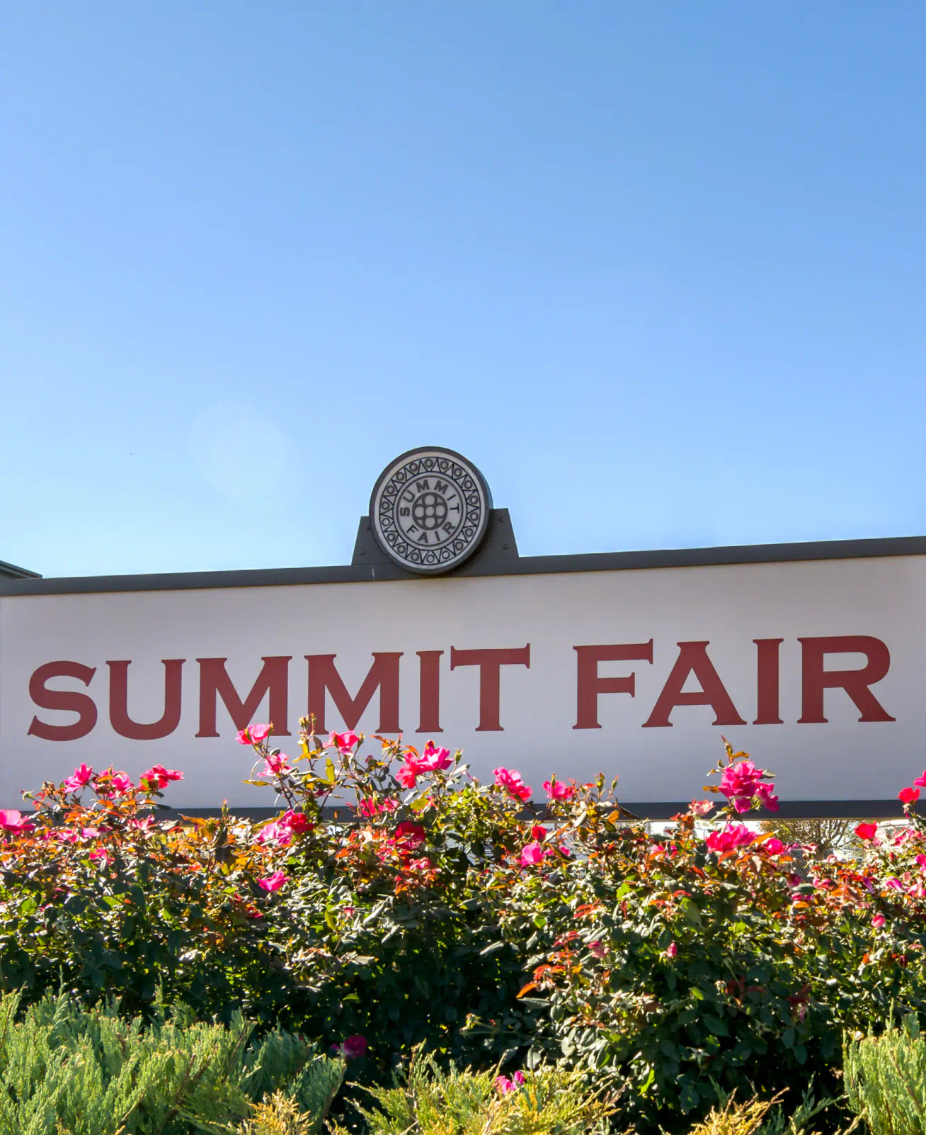 Summit Fair entry sign with landscaping and pink roses in the foreground and one tree in the background.