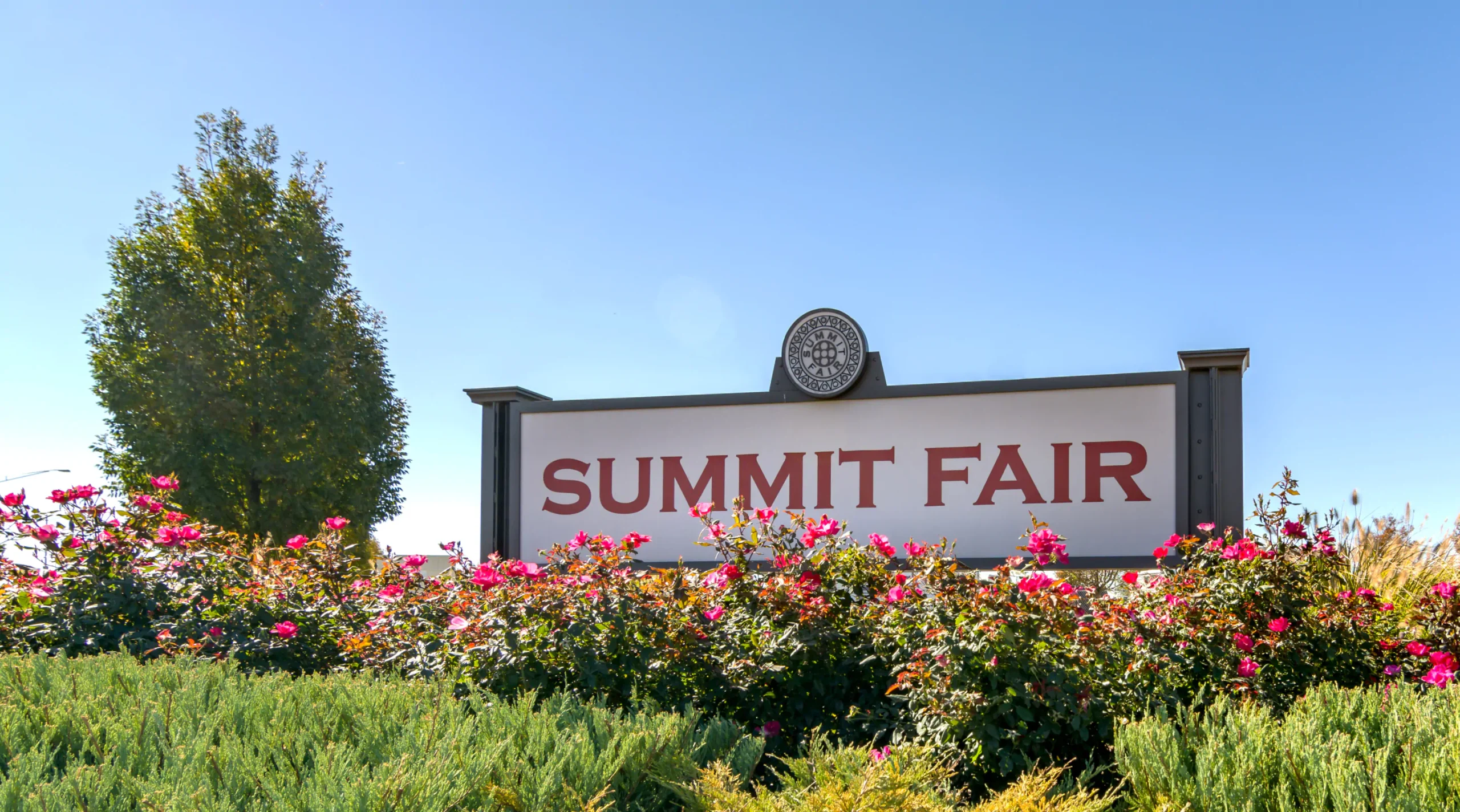 Summit Fair entry sign with landscaping and pink roses in the foreground and one tree in the background.